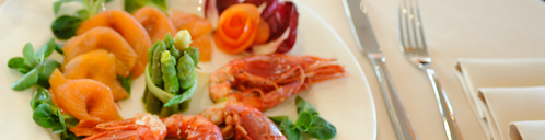 banner 2