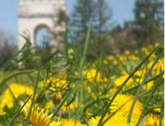 LA FESTA DELLE ERBE. MENU A TEMA NEI RISTORANTI DE