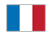Lingua francese