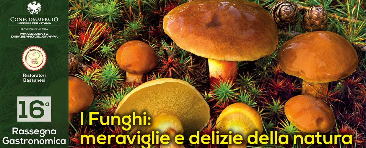 Rassegna Gastronomica: I funghi meraviglie e deliz