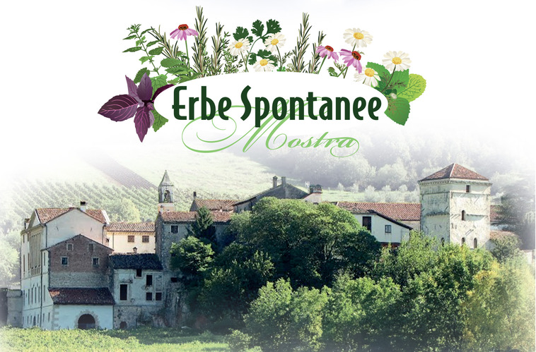 VAL LIONA CAPITALE DELLE ERBE SPONTANEE