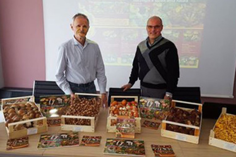 I FUNGHI: MERAVIGLIE E DELIZIE DELLA NATURA I FUNGHI: MERAVIGLIE E DELIZIE DELLA NATURA