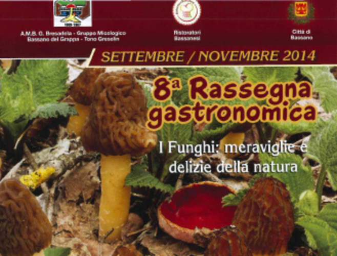 I FUNGHI: MERAVIGLIE E DELIZIE DELLA NATURA