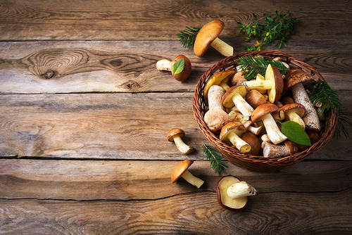 I TESORI DEL BOSCO A TAVOLA