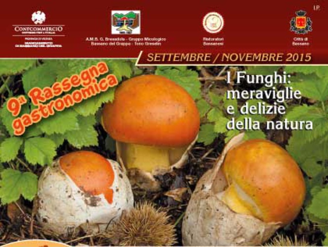 I FUNGHI: MERAVIGLIE E DELIZIE DELLA NATURA