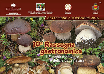 I FUNGHI: MERAVIGLIE E DELIZIE DELLA NATURA