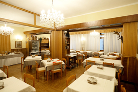 HOTEL ALPI