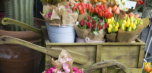 FIORI, COLORI E... - MOSTRA MERCATO DEL FLOROVIVAISMO