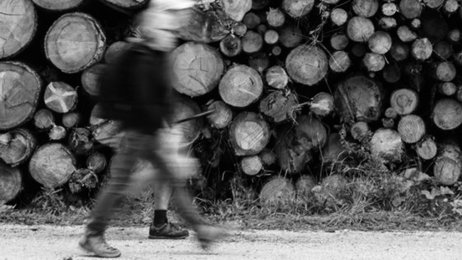 UOMO, LEGNO, MONTAGNA