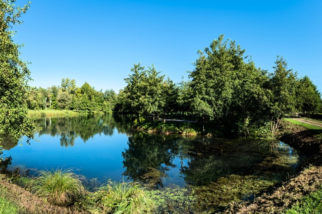 ACQUA: IERI OGGI DOMANI