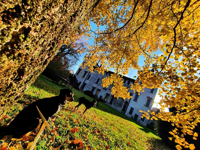 IL MESE DEL FOLIAGE, MAGICHE ATMOSFERE D'AUTUNNO