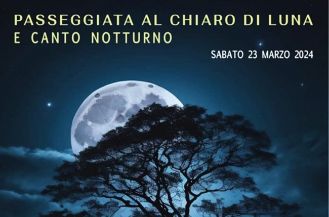 PASSEGGIATA AL CHIARO DI LUNA E CANTO NOTTURNO