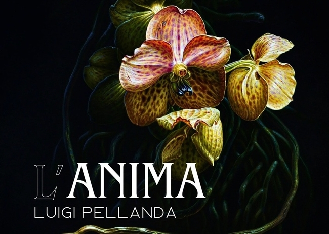 L’ANIMA - MOSTRA DI LUIGI PELLANDA
