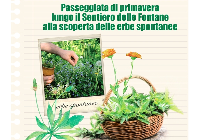 PASSEGGIATA DI PRIMAVERA LUNGO IL SENTIERO DELLE FONTANE ALLA SCOPERTA DELLE ERBE SPONTANEE